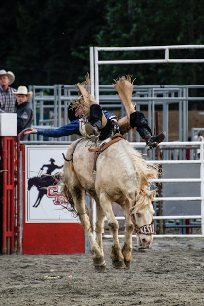 Get Your Rodeo Tickets Now!