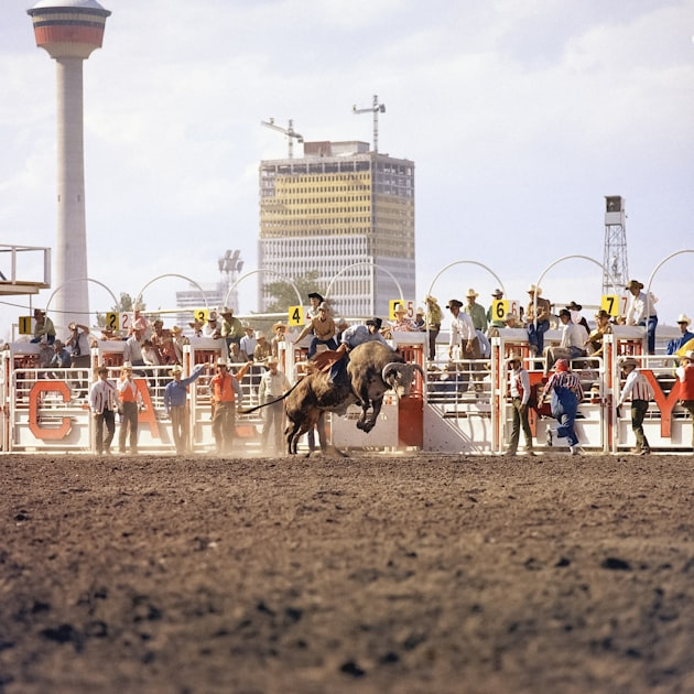 Experience the Great Chicagoland Pro Rodeo